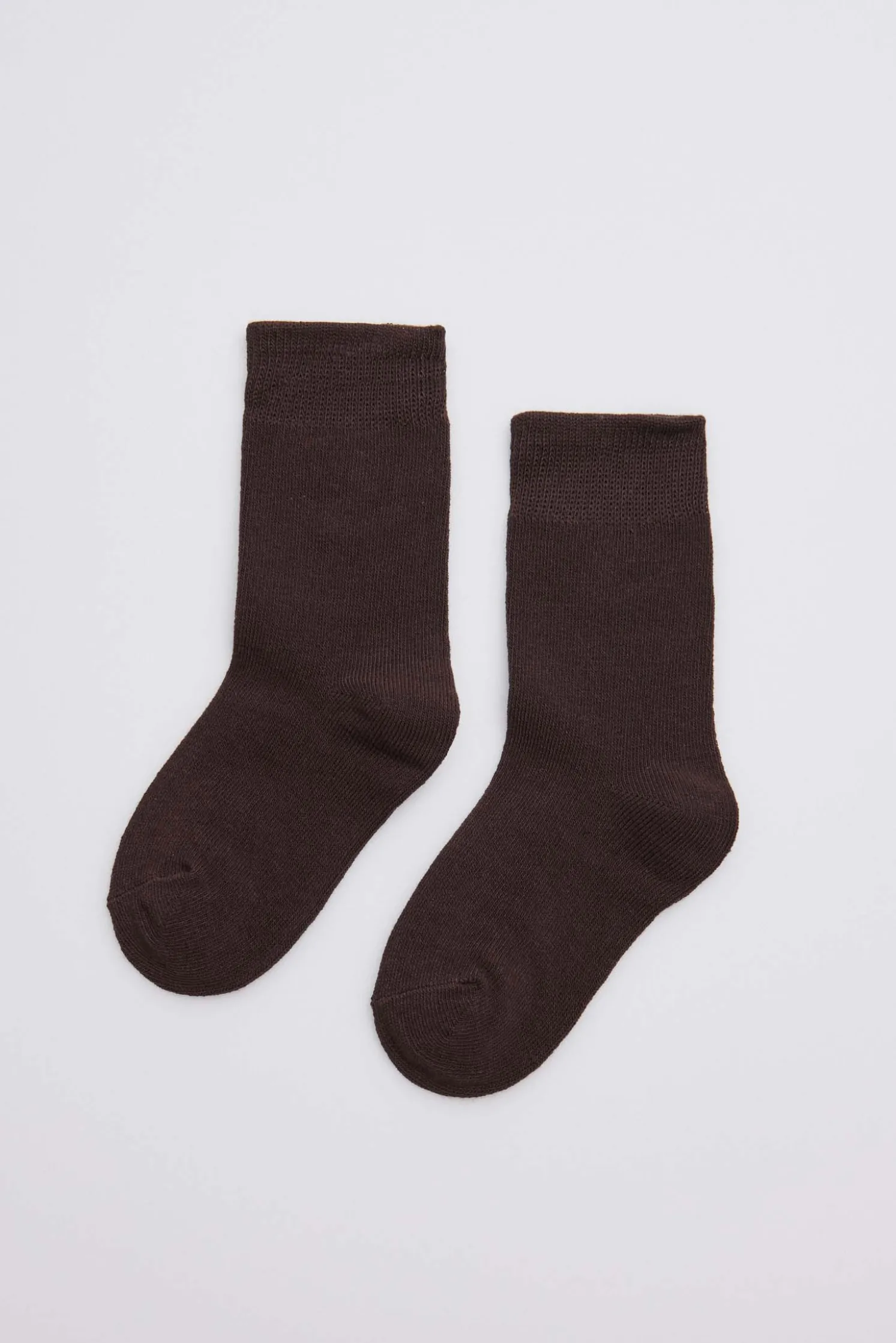 Calcetines infantiles algodón marrón
