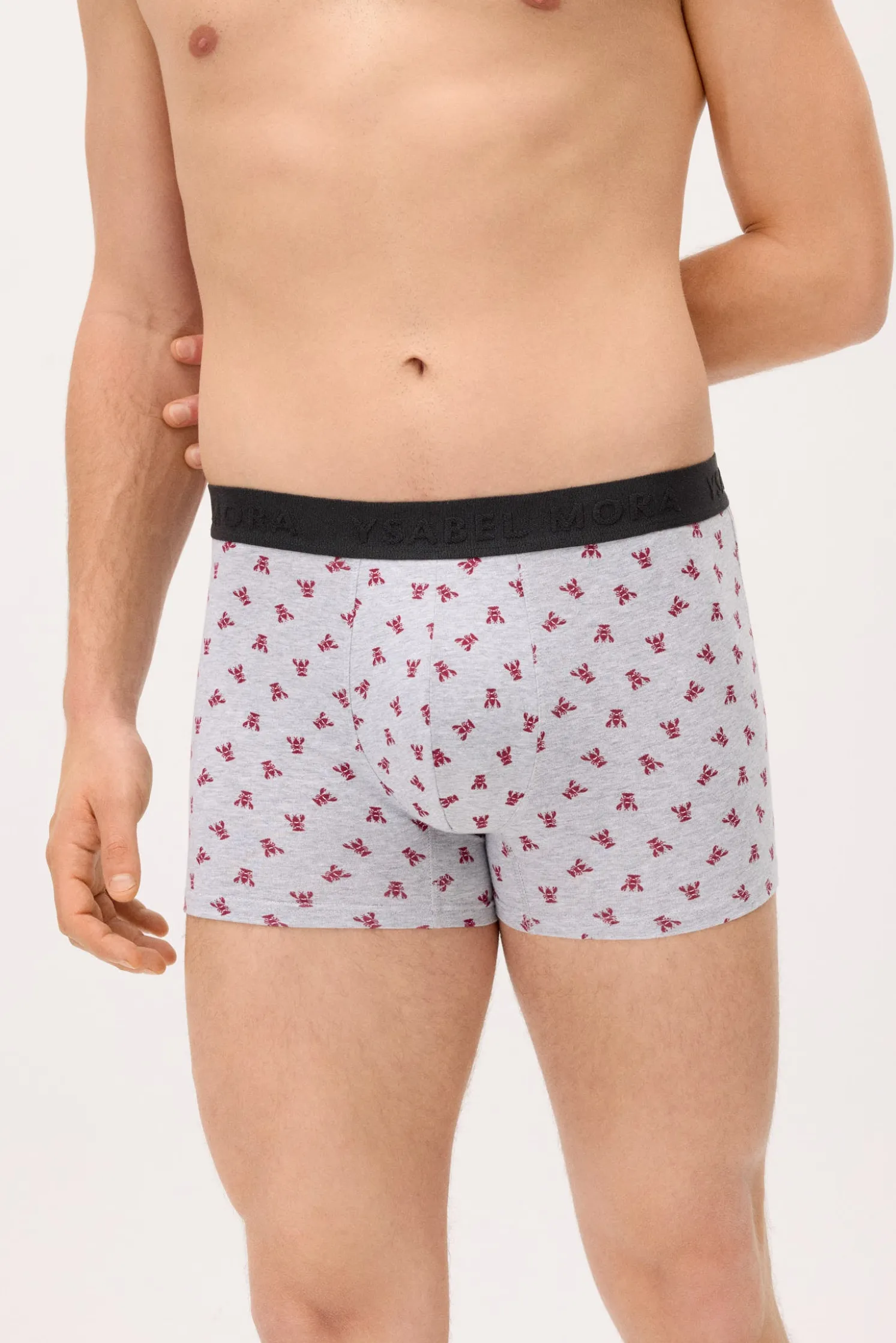 Pack 6 bóxers estampado animales