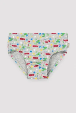 Pack de 2 slips infantiles estampado dinosaurios