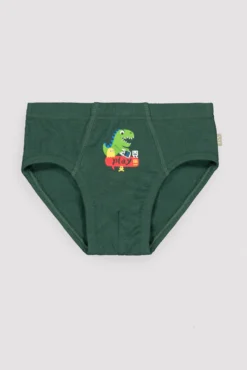 Pack de 2 slips infantiles estampado dinosaurios